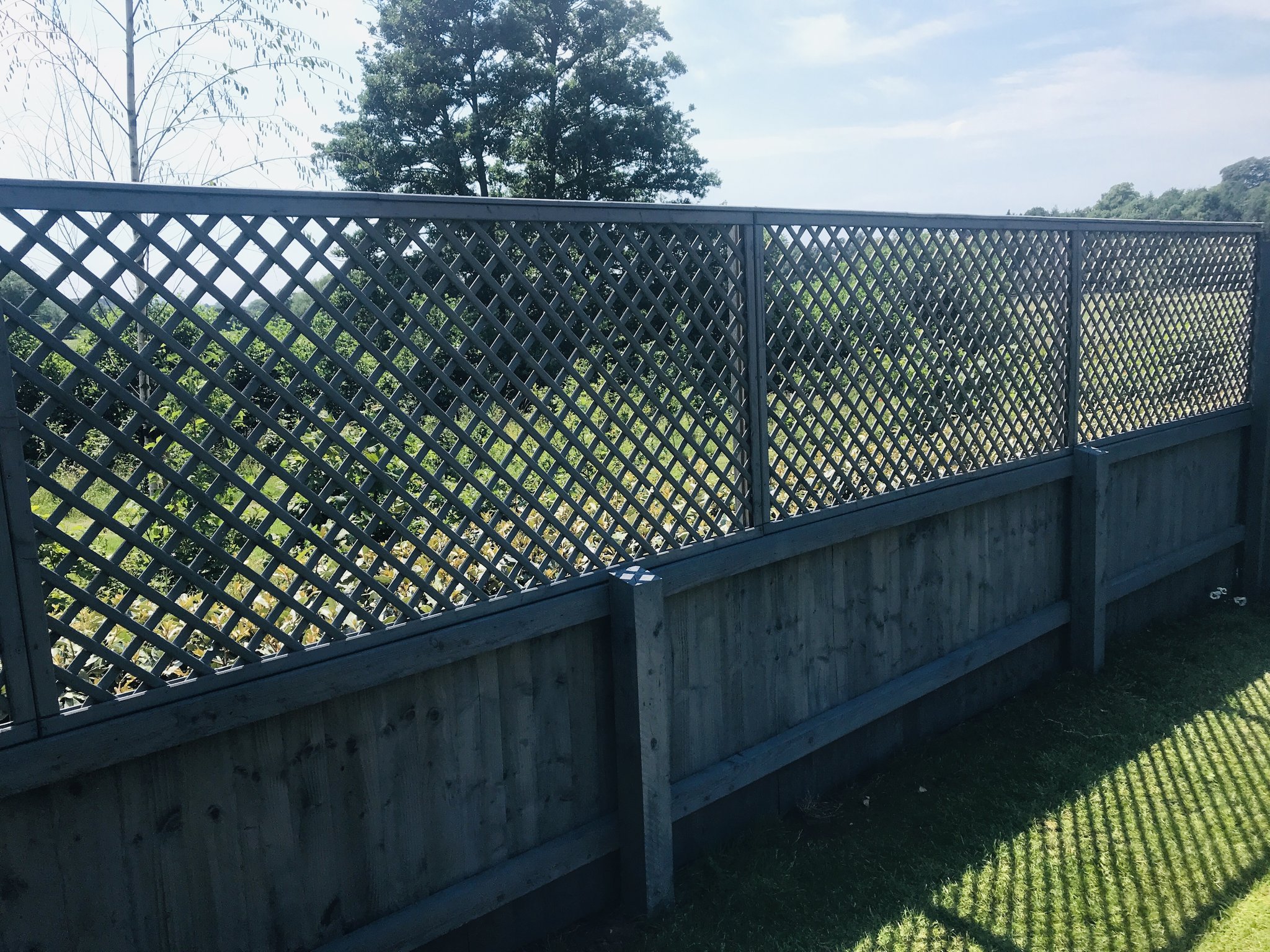 Fence and trellis stained dark grey